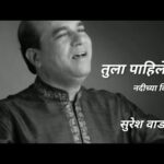 Tu Ashi Marathi Lyrics || तु अशी मराठी लिरिक्स